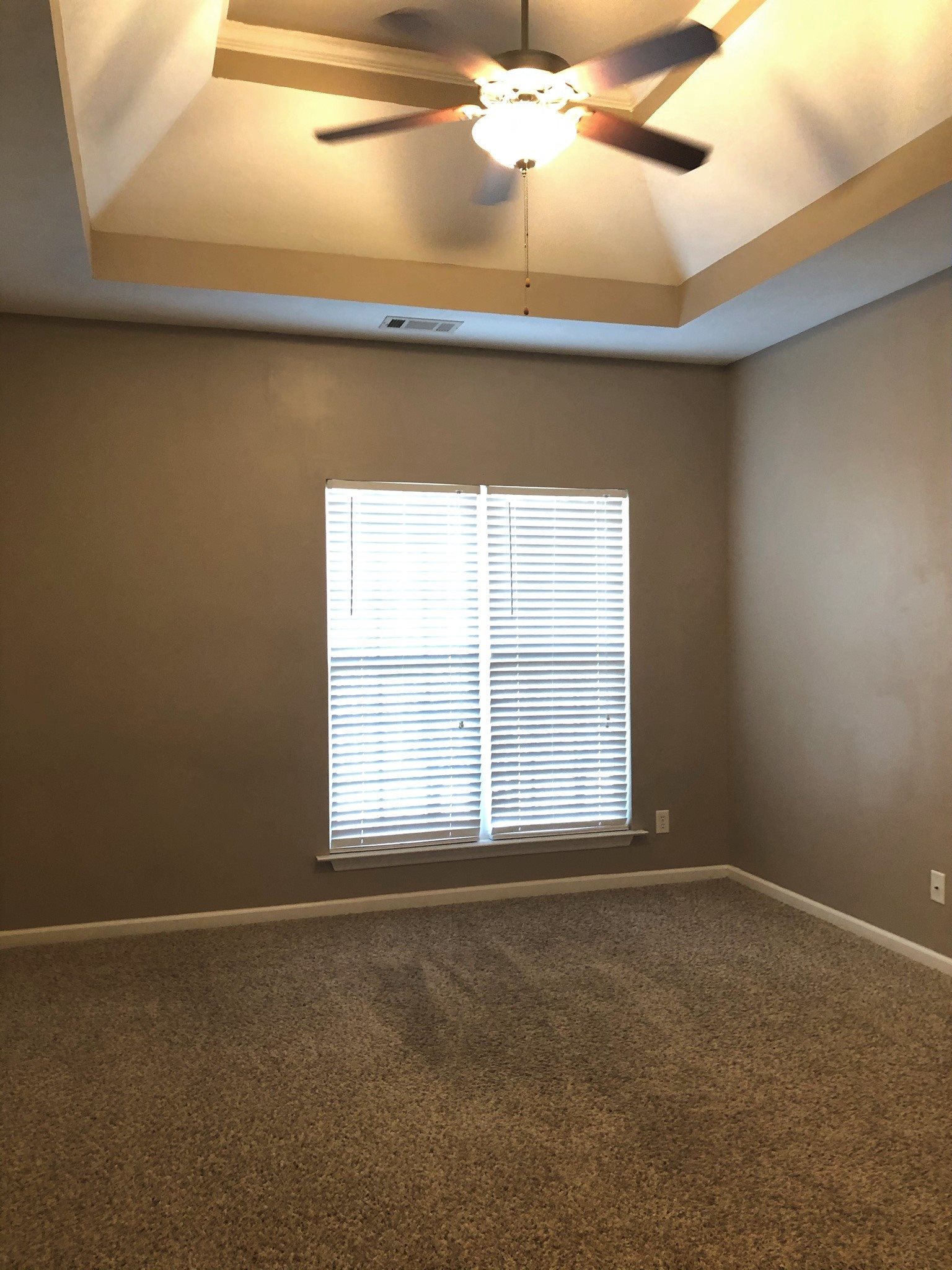 Gallery Photo 2